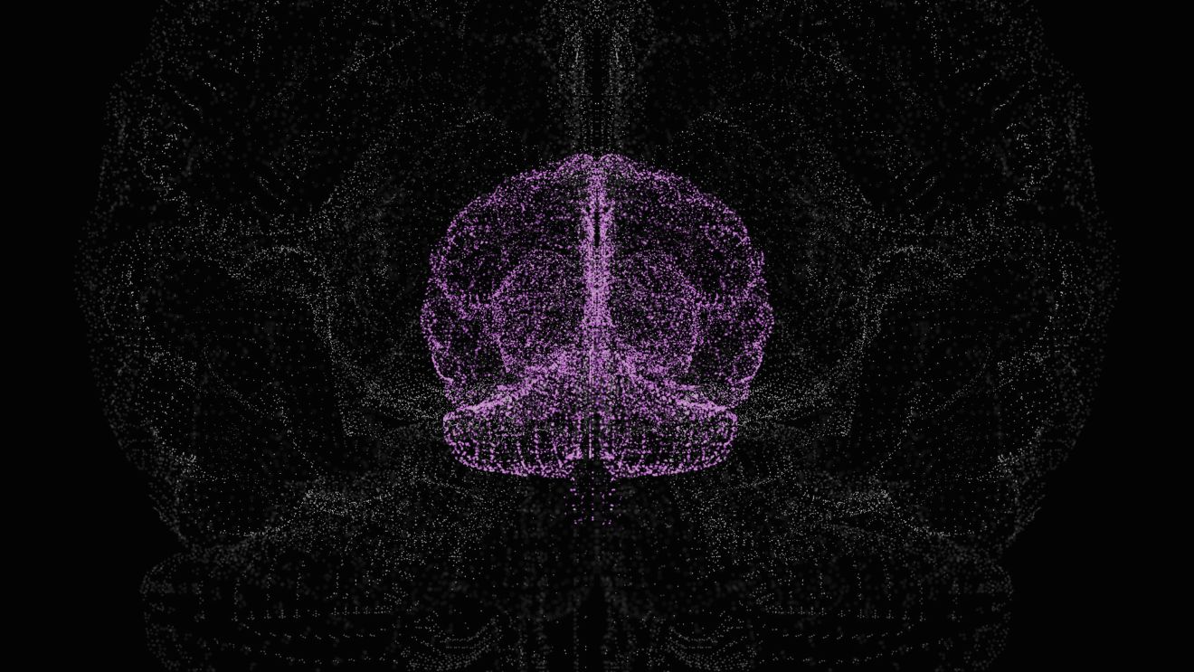 Emilie Petit, praticienne en neurofeedback